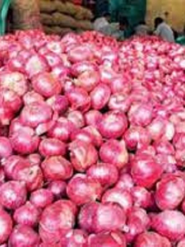 cropped-onion-marr.jpg