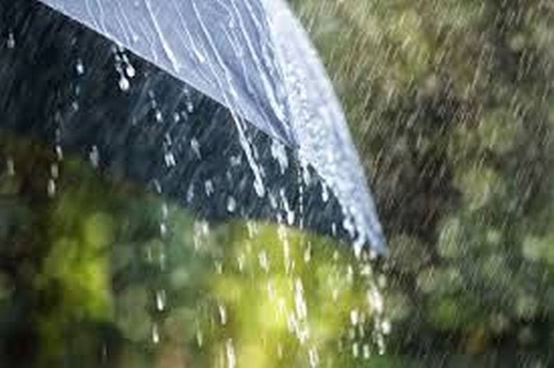 Maharashtra Rain Alert By IMD
