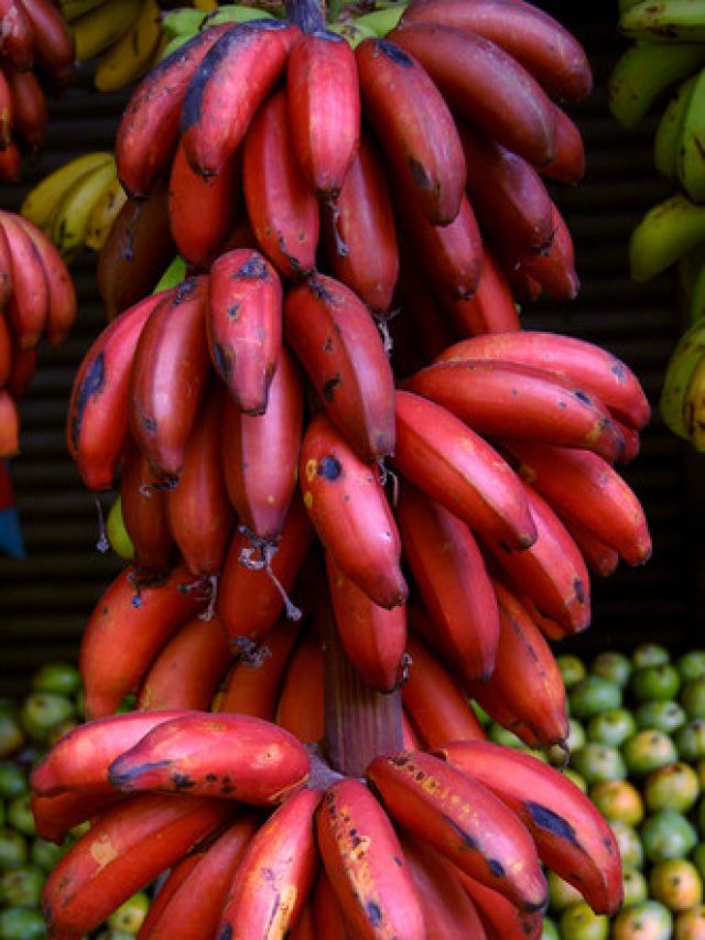 Red-Banana-Sevvazhai-
