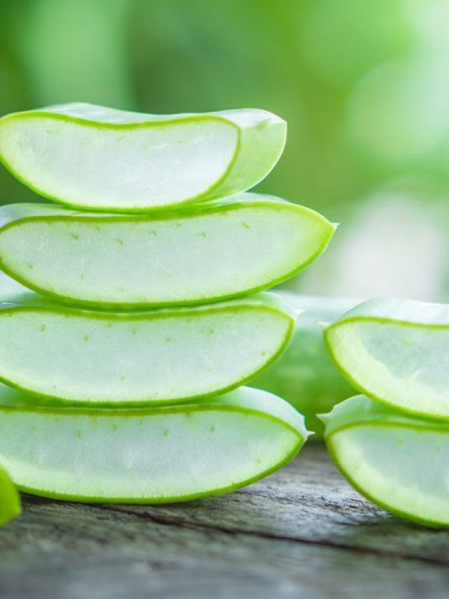 fresh-aloe-vera-leaves-slice-and-aloe-vera-gel-on-royalty-free-image-1596046761