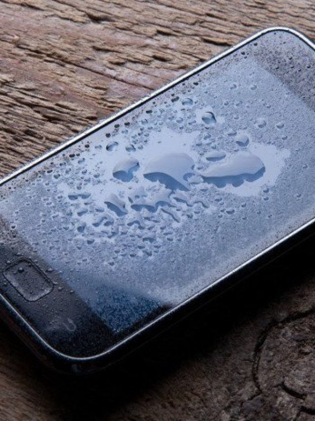 images_1526471263056_b21cb87f469b6abd54e2083edaf7d319