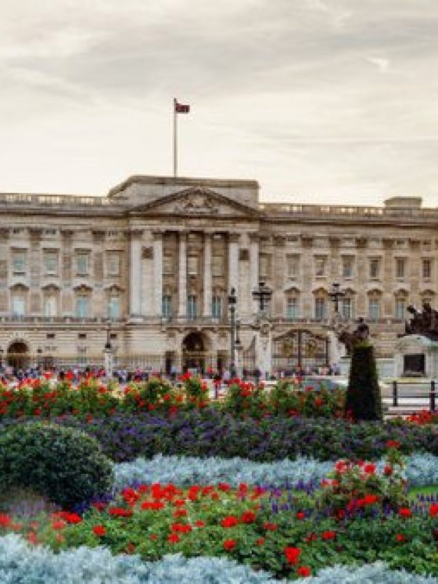 main-qimg-b2c6069203dec5c5b952a9f71ea751fd-lq