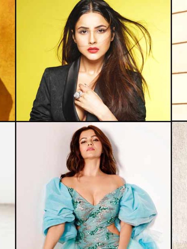 tejasswi-prakash-to-hina-khan-shehnaaz-gill-television-actresses-their-charge-for-a-single-post-on-instagram-01