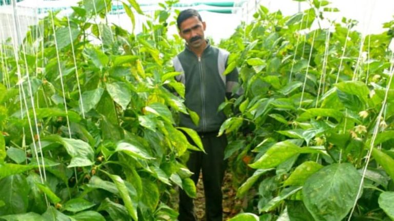 started natural farming 4 years ago and now earns 9 to 10 lakh rupees per year