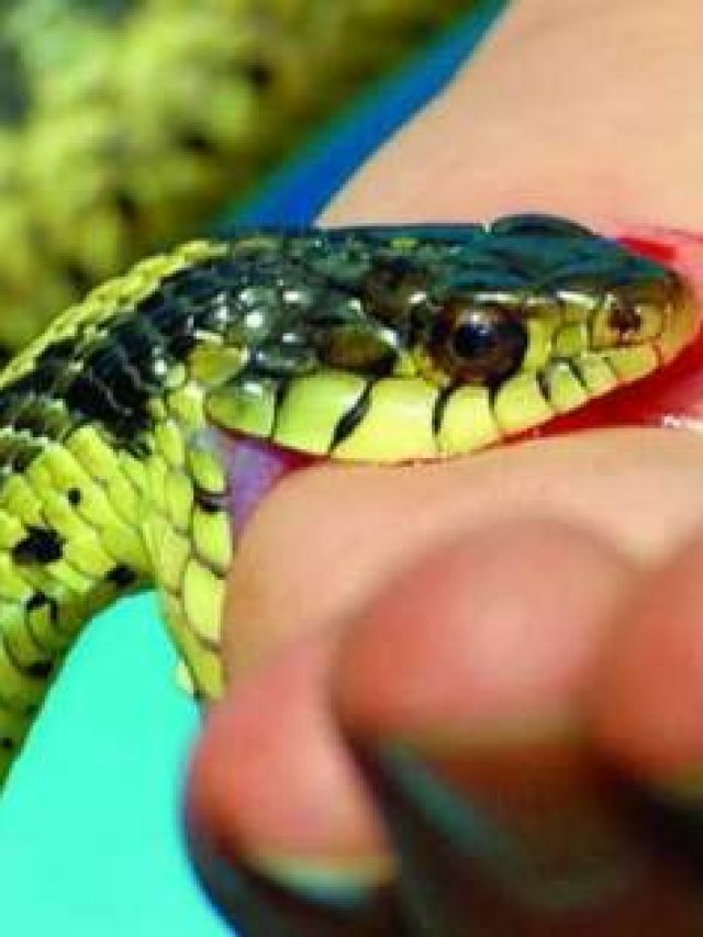 6900c74fc67cd6af6f2b5dc9694456_202107651251