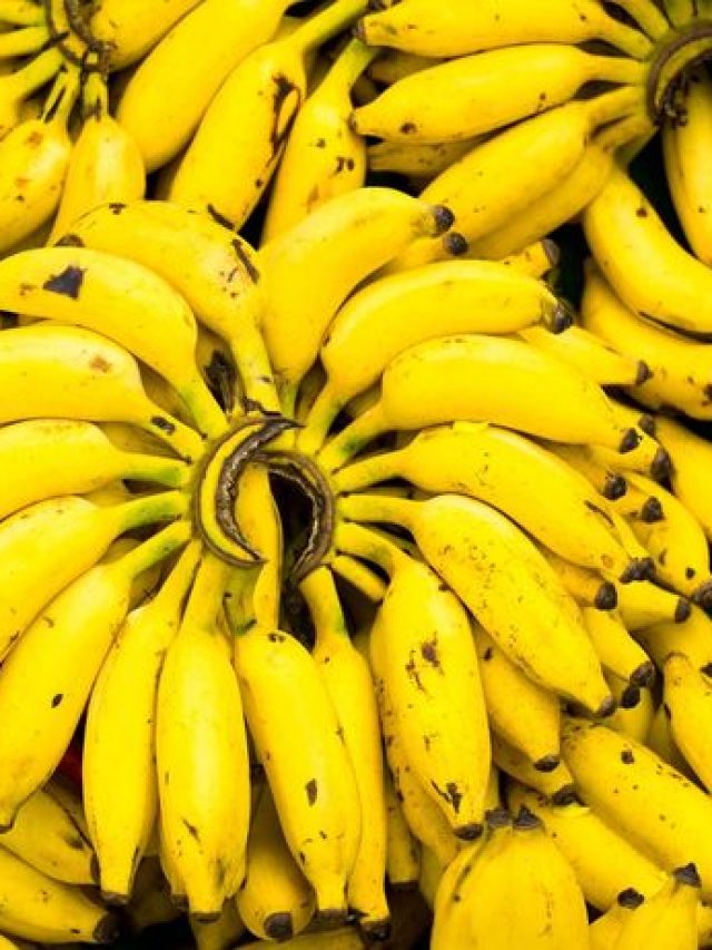 9f1bce0b02c61740071ca755bb1a3b7a--banana-cream-pies-taste-the-rainbow