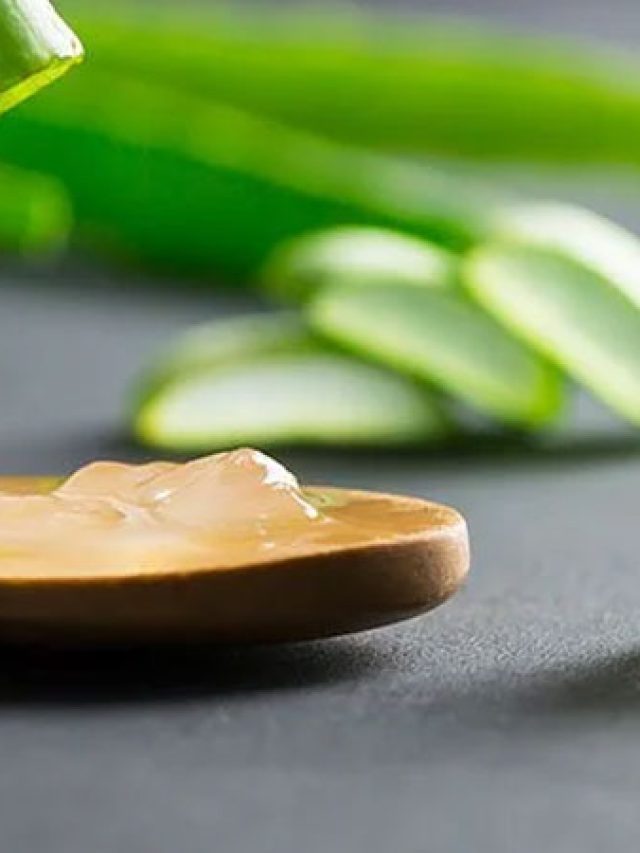 aloe-vera