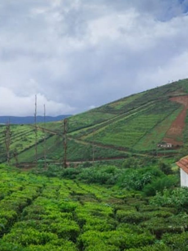 compressed-0vyf-1200x675