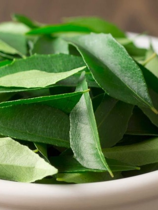 curry_leaves_fb-1