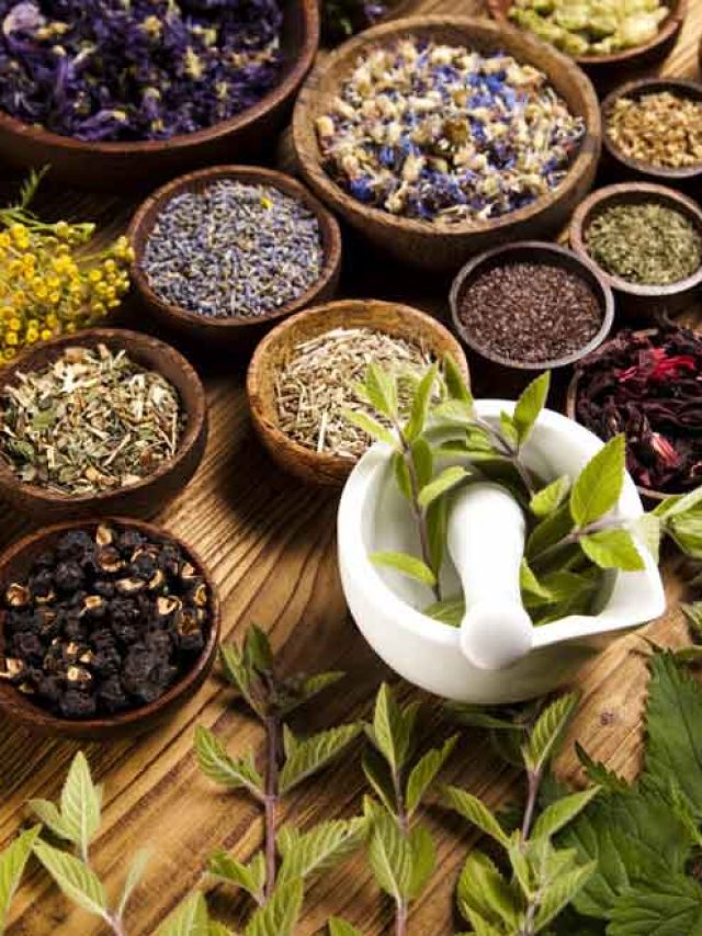 ek_Herbal-Remedies-You-Should-Never-Try