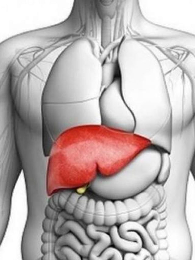 healthy-liver2_201809138519