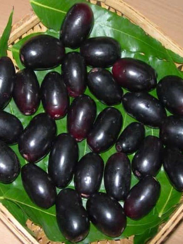 jamun-beauty-new-feature-resize_202105627060