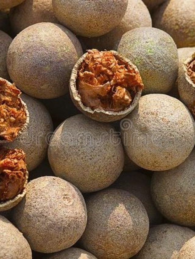 main-qimg-7455399143da0973fb15979022308043-lq