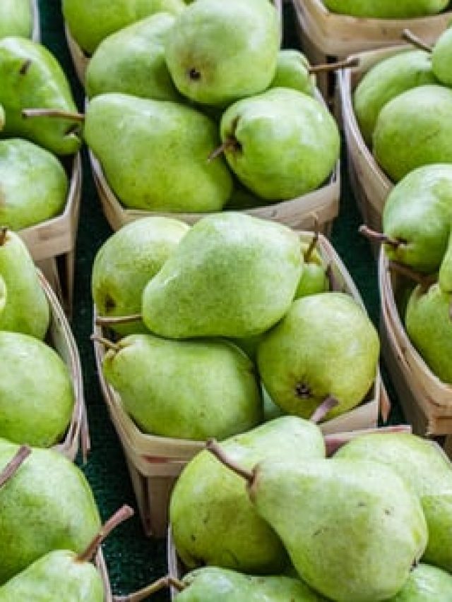 photo-1514756331096-242fdeb70d4a