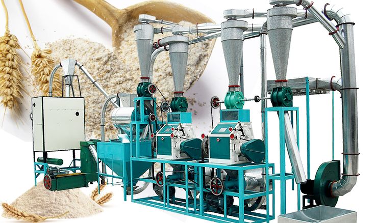 How to start a flour mill business? Know complete information