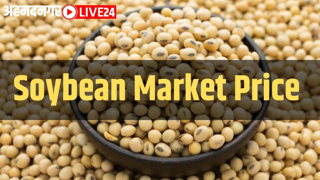 Soybean Market Price Fall