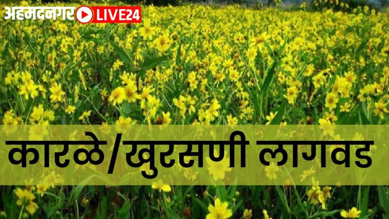 business idea niger farming