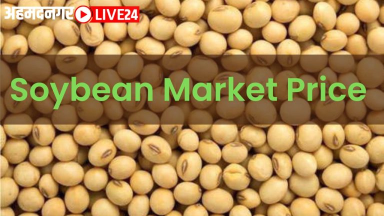 soybean market
