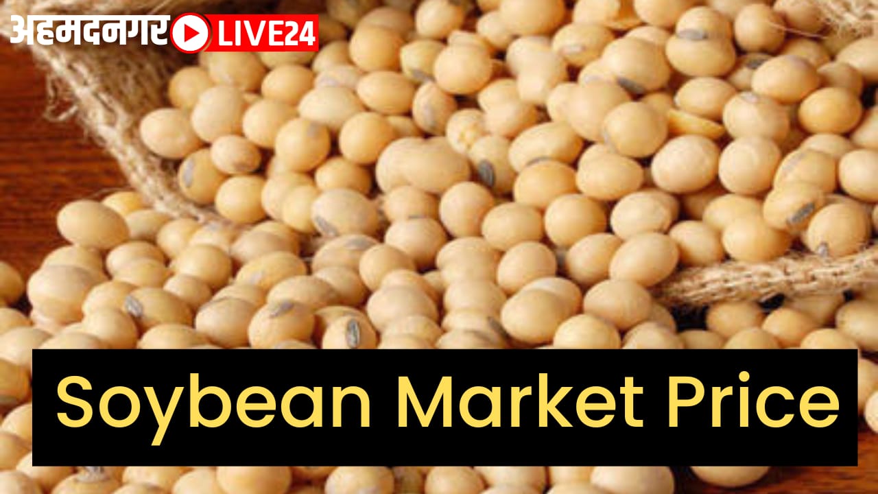 Soybean market price