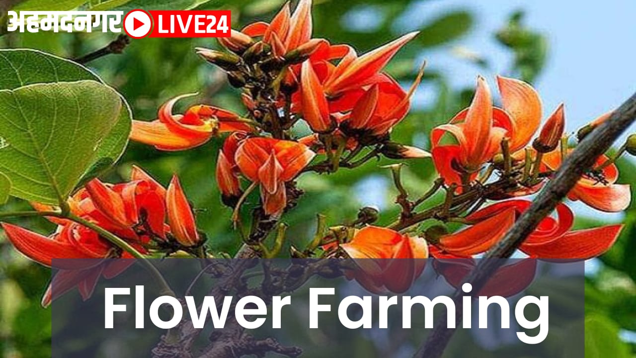 flower farming