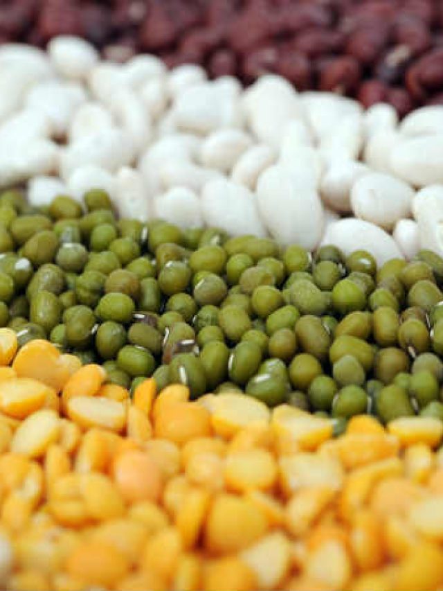 21-1469083747-legume