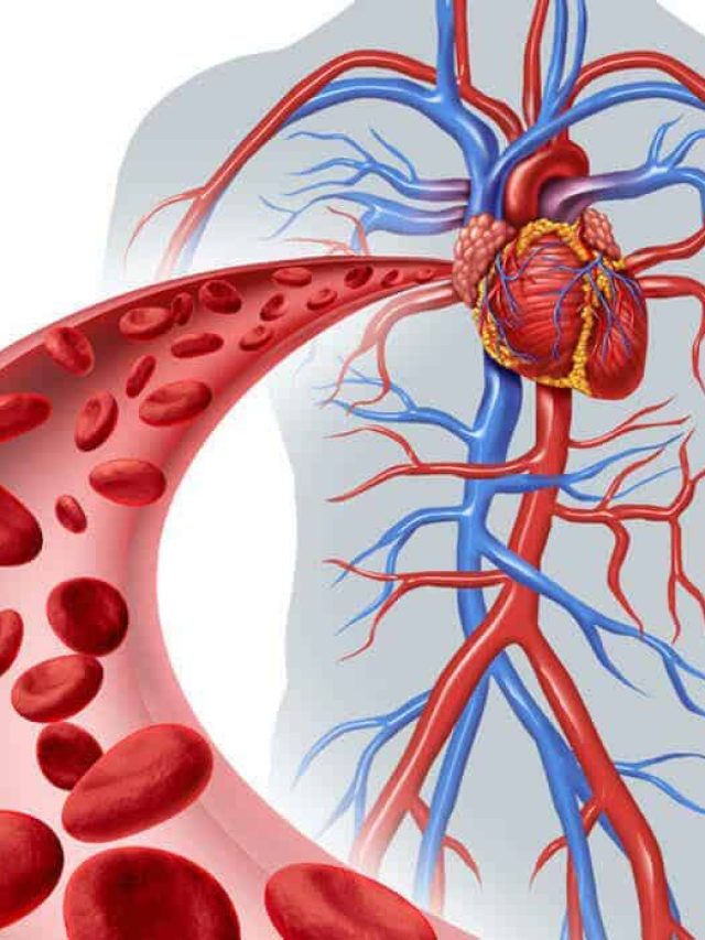 Hemolytic-Anemia-from-Footstrikes-red-blood-cell-circulation