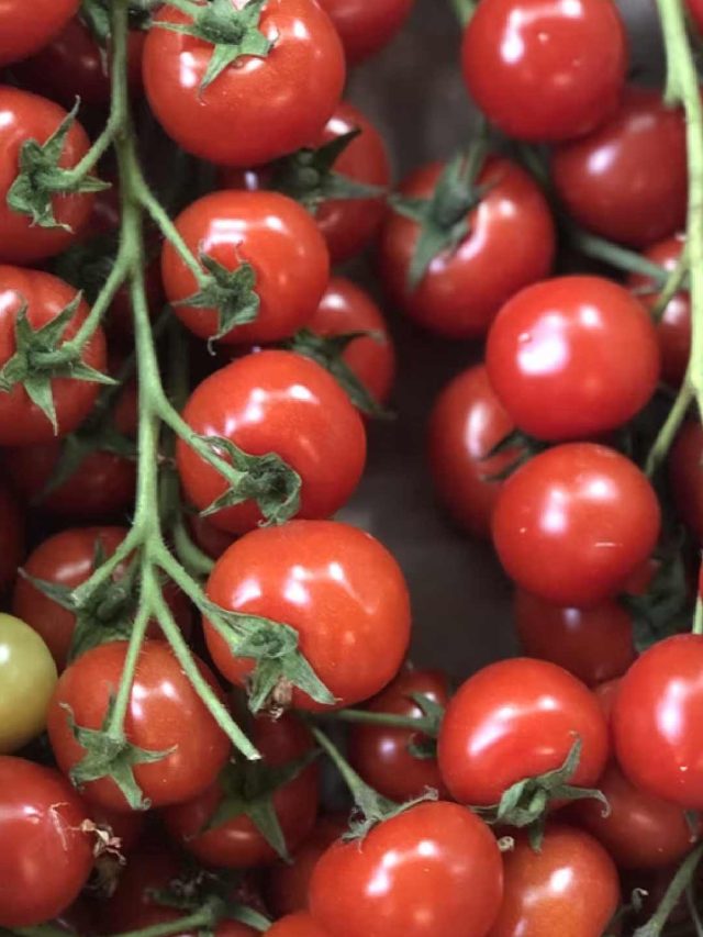 e184191247722b9577bbd784798ddbc8_5