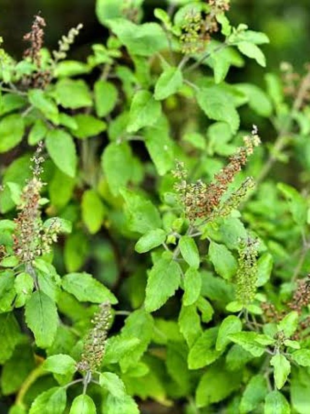 images-2022-06-07T082803.426