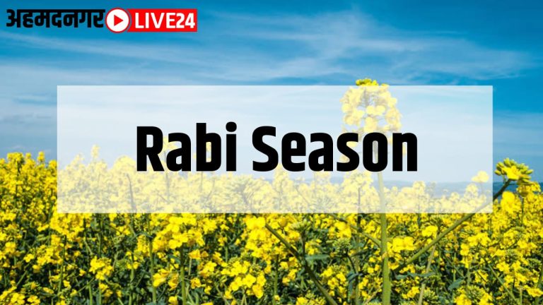 rabi season