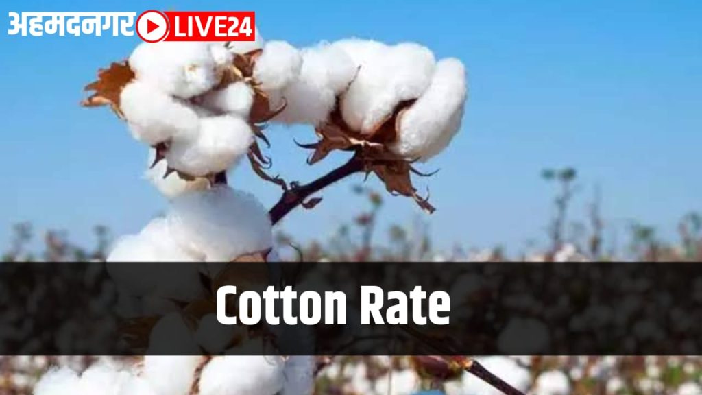 Cotton rate decline