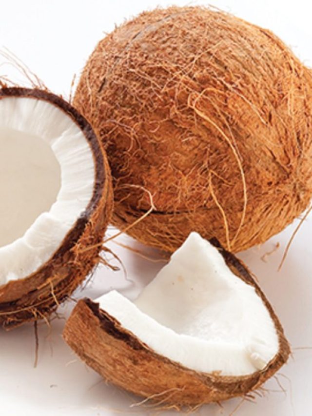 Coconuts-1280x720-1
