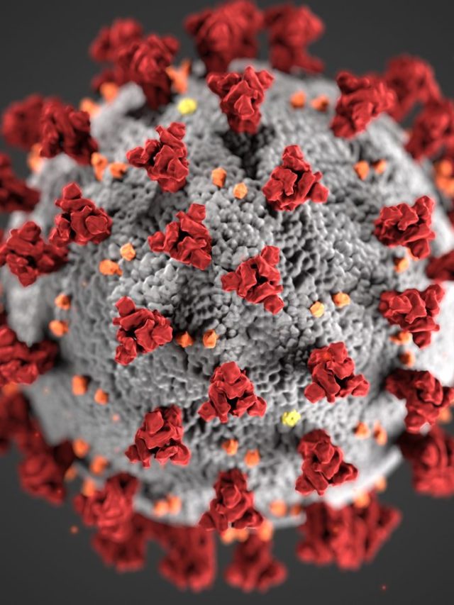 Coronavirus_3D_illustration_by_CDC_1600x900