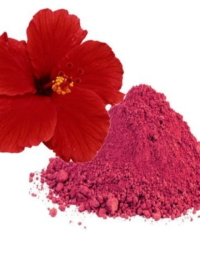 hibiscus-powder-1607598001-5653159