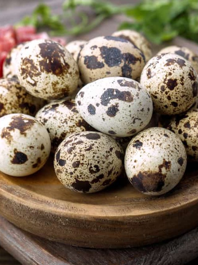 quail-eggs-1