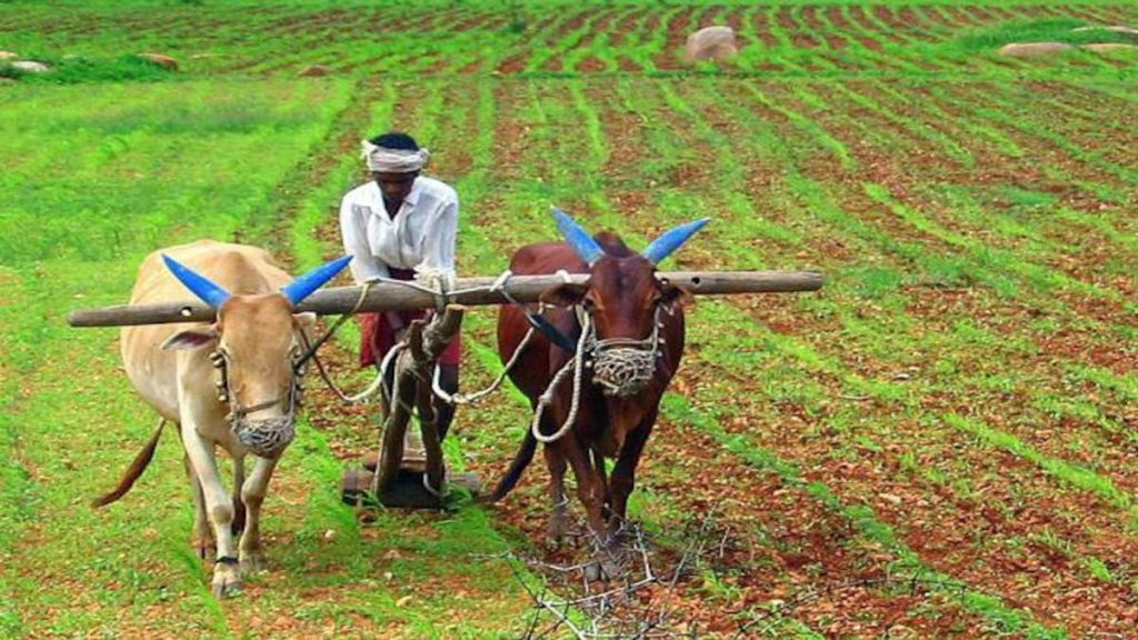 PM Kisan Yojana 'These' farmers won't get Rs 2000 check Quick