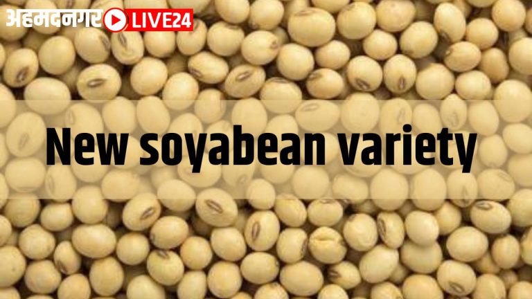 new soyabean variety