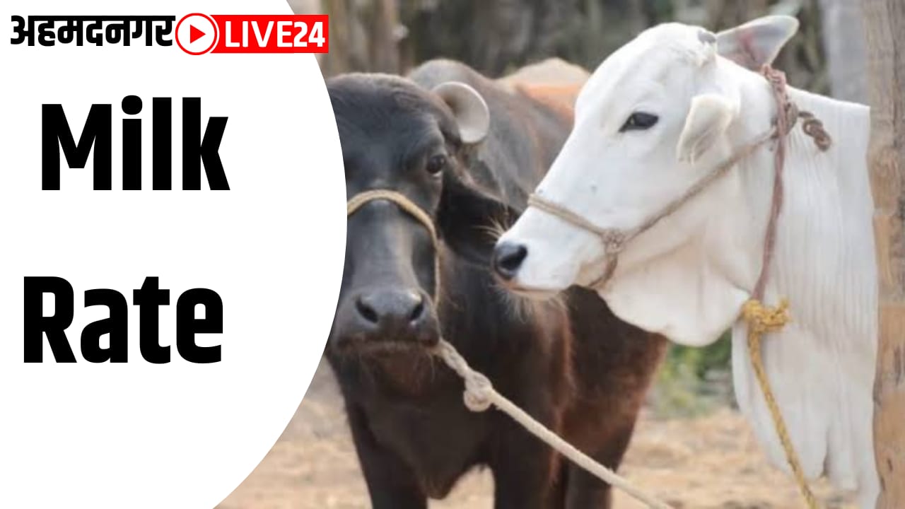 milk rate