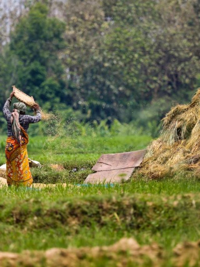 0.56028700_1647350442_istock-1355848941