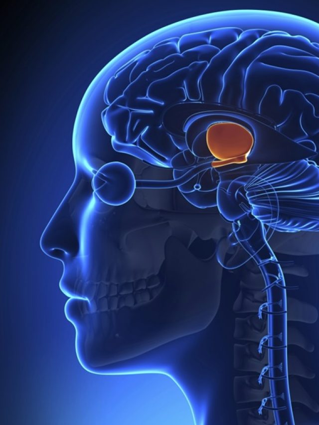 05_12_2019-brain_stroke