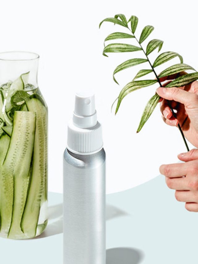 12150-BEAUTY_-_Explainer_-_Cucumber_benefits_for_skin-thumbnail-732x549-1-732x549