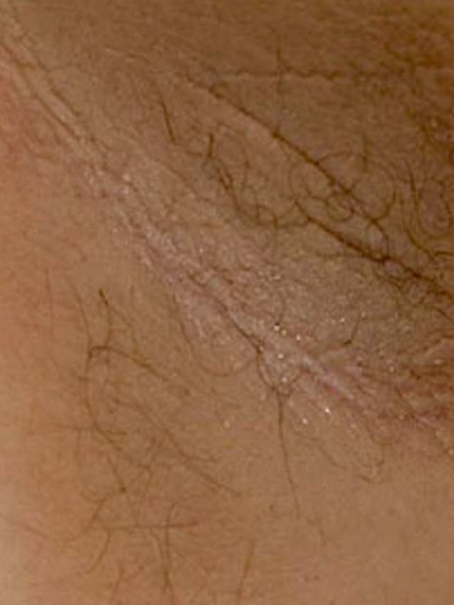 322860_1100-1100x628