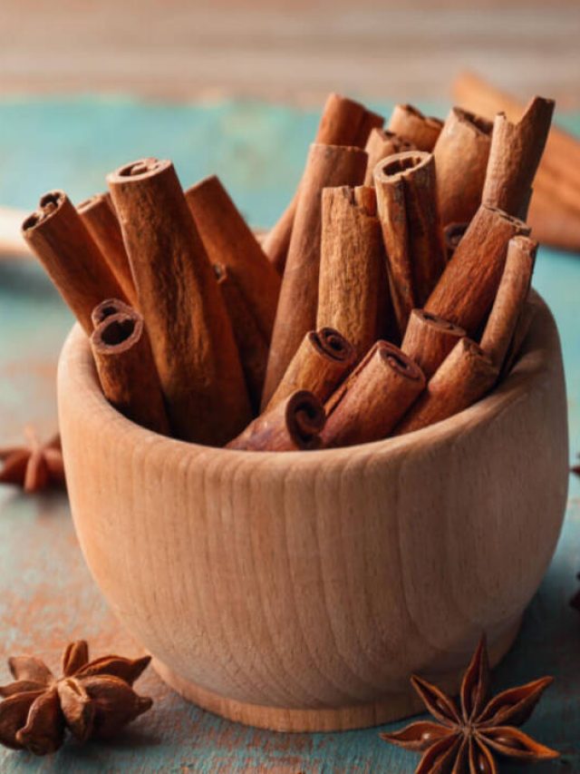 Cinnamon-2-1-1024x720