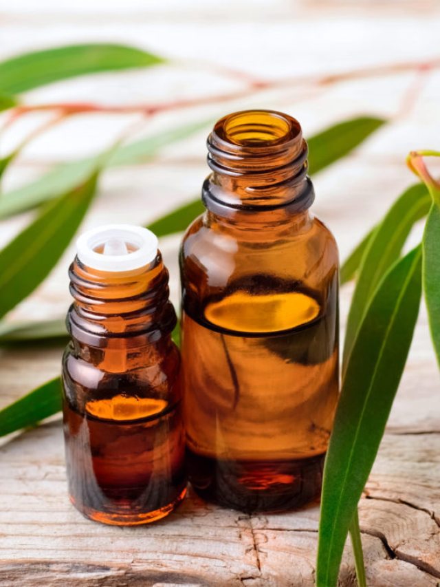 Eucalyptus-Oil_-Guide-To-Essential-Oils_-Andrew-Weil-M.D_911691436-1024x768-1