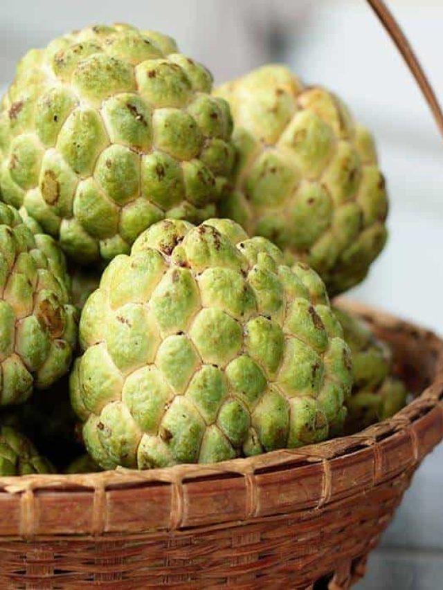 custard-apple-sitafal (1)