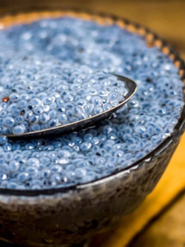 du8c2lb_basil-seeds-or-sabja-seeds_625x300_01_August_18 (1)