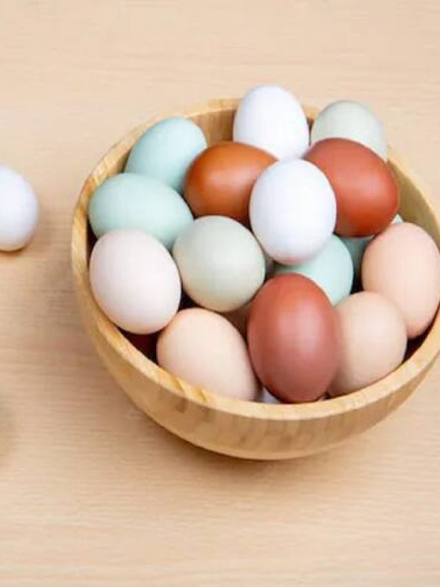 f3ccdd27d2000e3f9255a7e3e2c488002333b