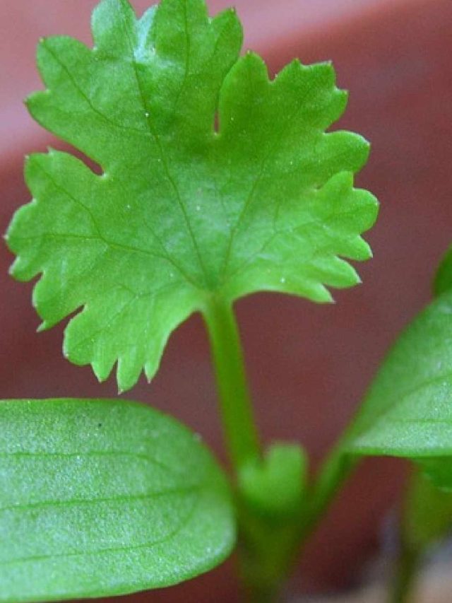 f84e932d26f7c3a4f15e35b3d84431b31666080580107358_6