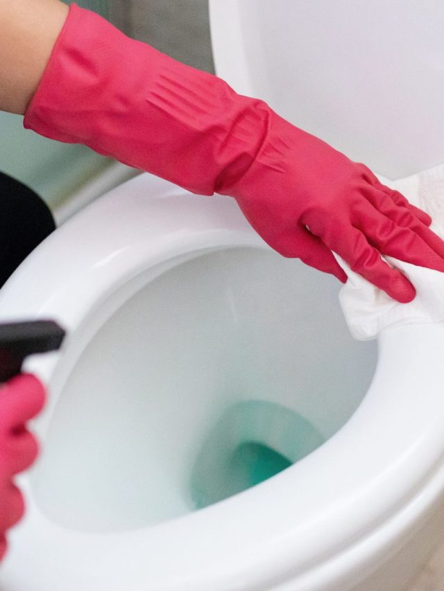 how-to-clean-a-toilet-1900297-01-201c3f2023334460bd082fe848a64c67