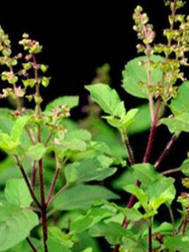 main-qimg-670c2cd075754a6e626b9cf6ddbc1748-lq