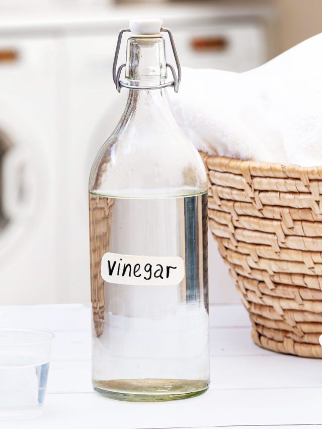 vinegar-in-the-washing-machine-1900128-hero-812dbd20b6194c5eb93ef92198d37eb6